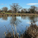 Kedleston Parkland by 365projectmaxine