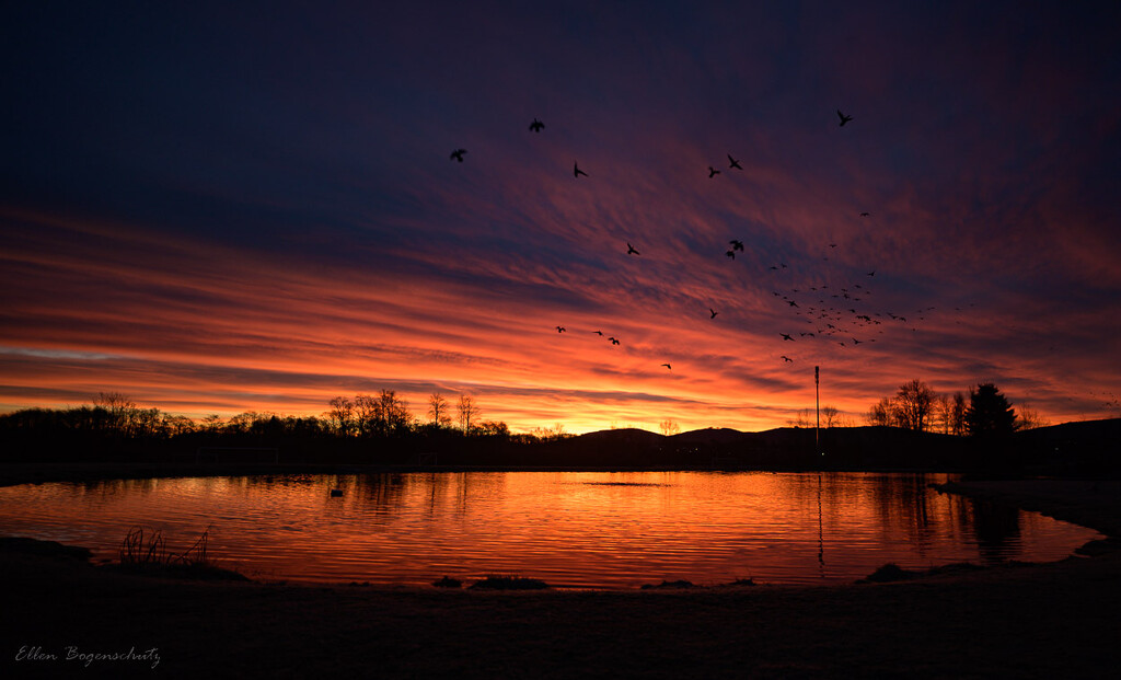 Sunrise at the Duck Pond by theredcamera
