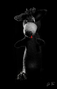 2nd Jan 2023 - clove puppet
