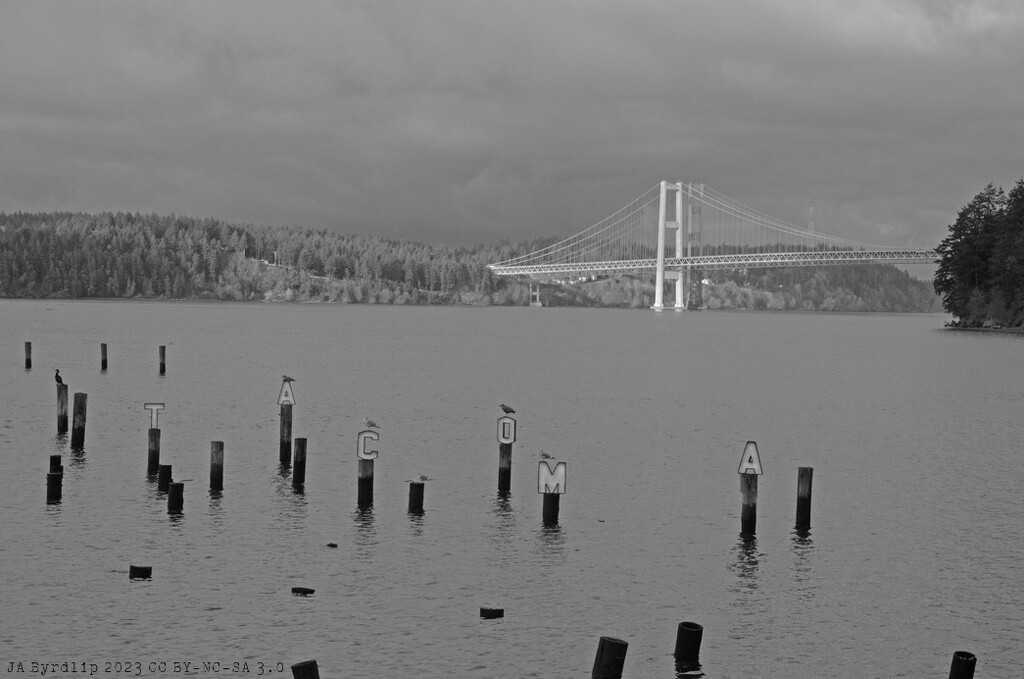 The Bridge by byrdlip