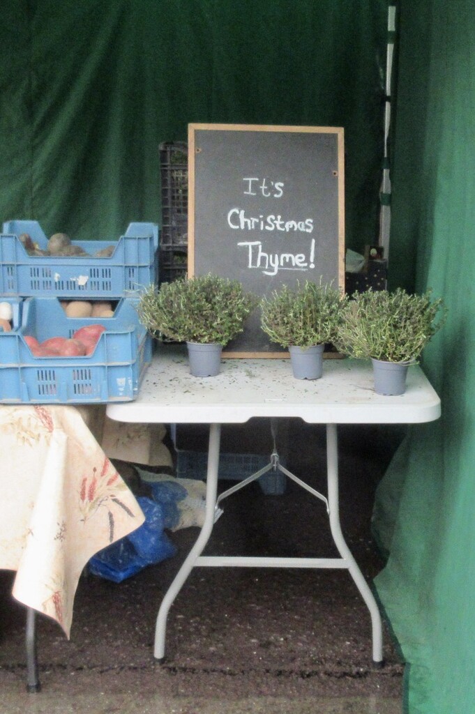 Christmas Thyme! by philm666