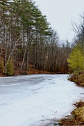 4th Jan 2023 - Frozen Pond