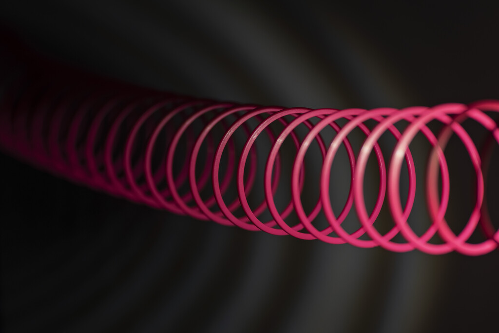 Slinky fun by mistyhammond