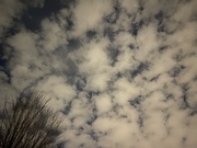 27th Dec 2022 - Wild clouds at night