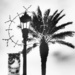 Light palm  by joemuli