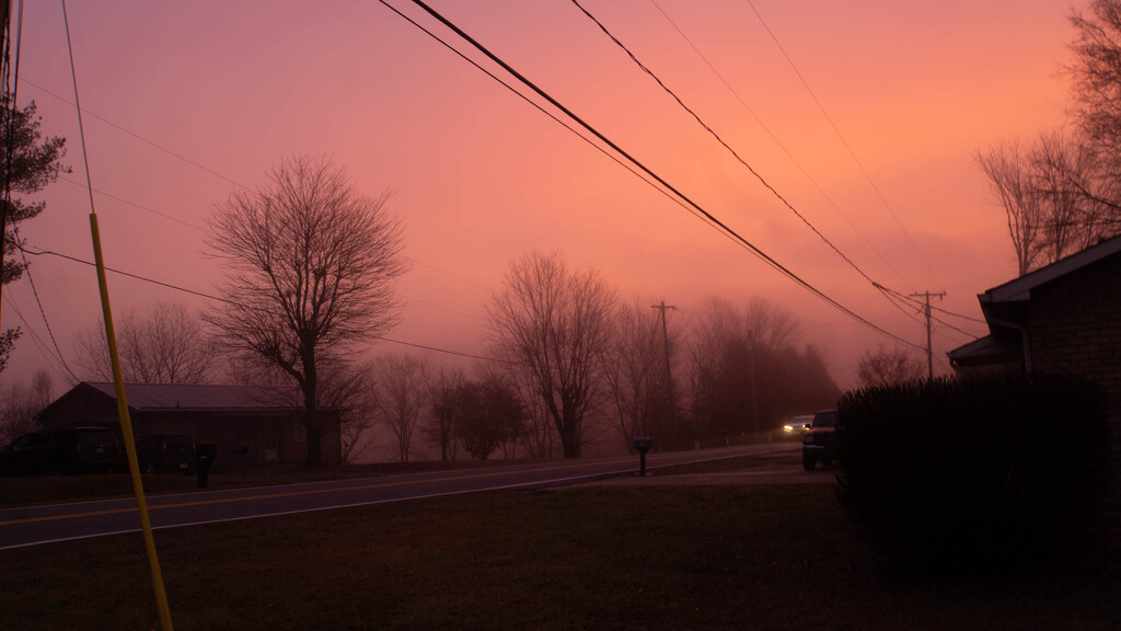 Car lights in the fog at sunrise by randystreat