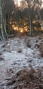 16th Dec 2022 - Frosty dawn