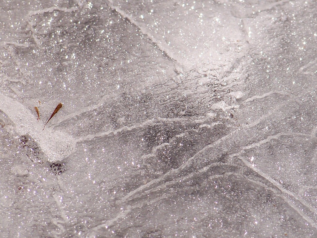 Patterns in a frozen solid birdbath... by marlboromaam