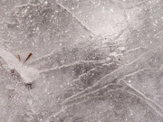 4th Jan 2023 - Patterns in a frozen solid birdbath...