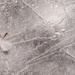 Patterns in a frozen solid birdbath... by marlboromaam