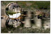 3rd Jan 2023 - Puddle