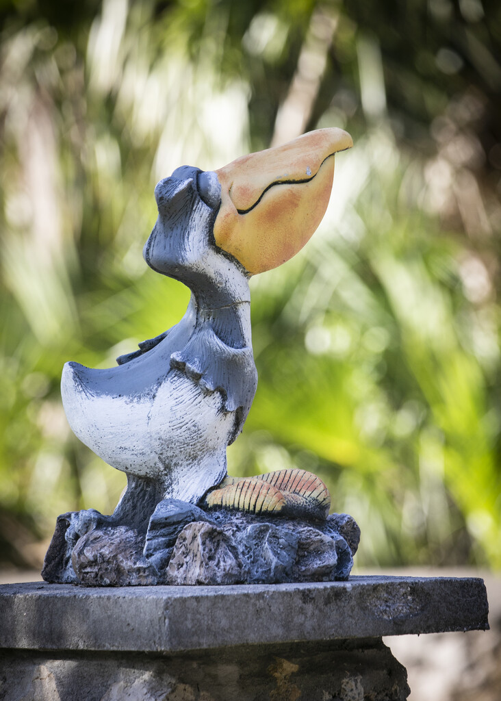 Pete the Pelican by swwoman