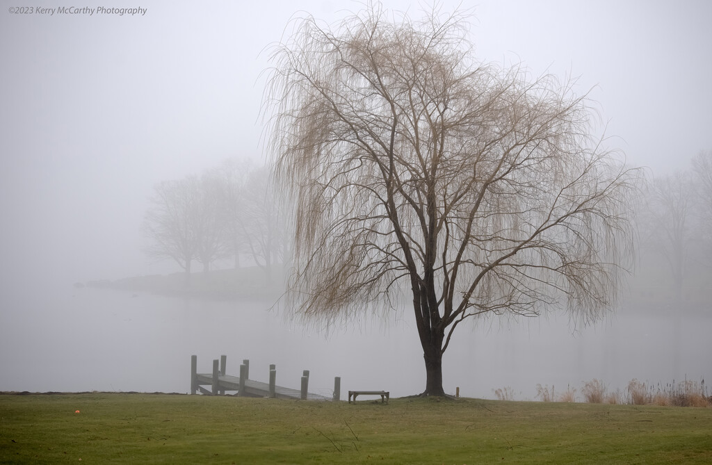Fog on the river by mccarth1