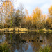 Pond reflections by cristinaledesma33