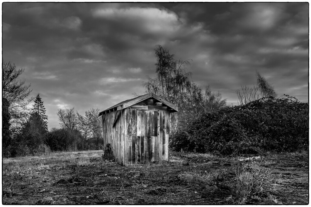 Shed by cdcook48