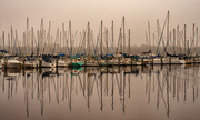 3rd Jan 2023 - Another Foggy Morning With the Sailboats!