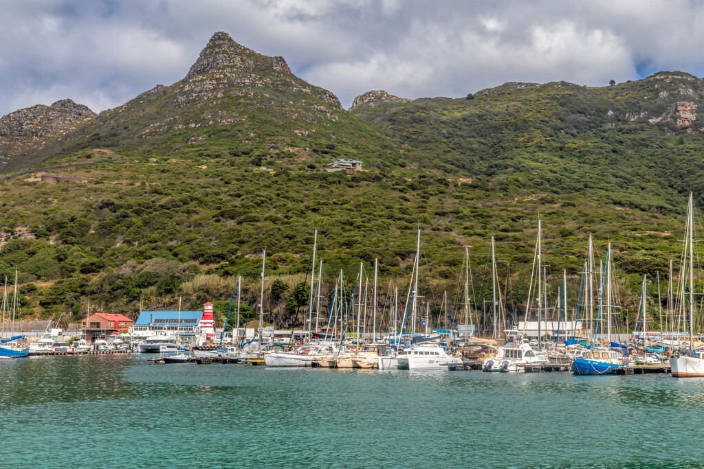Hout Bay Harbour by ludwigsdiana