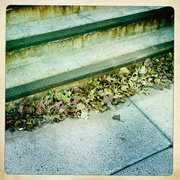 2nd Dec 2022 - Steps and Leaves - Hipstamatic app