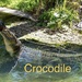 Crocodile by sugarmuser
