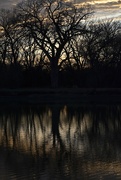 3rd Jan 2023 - Trees Water Sunset