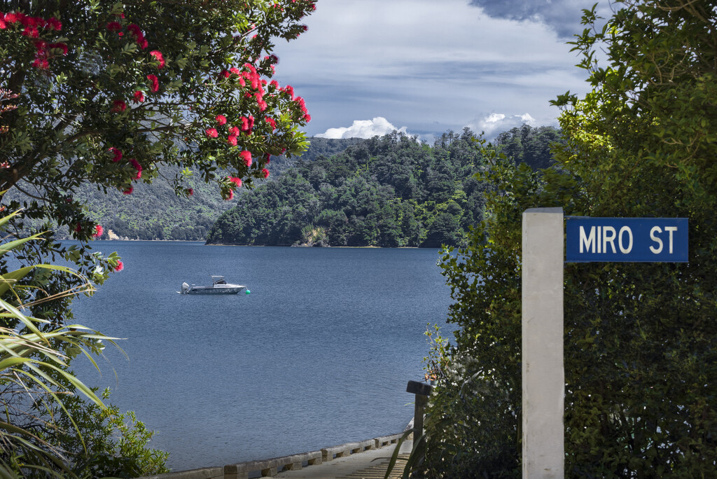 Miro Bay in the Pelorous Sounds of New Zealand by suez1e