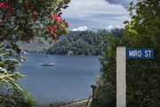 4th Jan 2023 - Miro Bay in the Pelorous Sounds of New Zealand