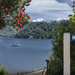 Miro Bay in the Pelorous Sounds of New Zealand by suez1e