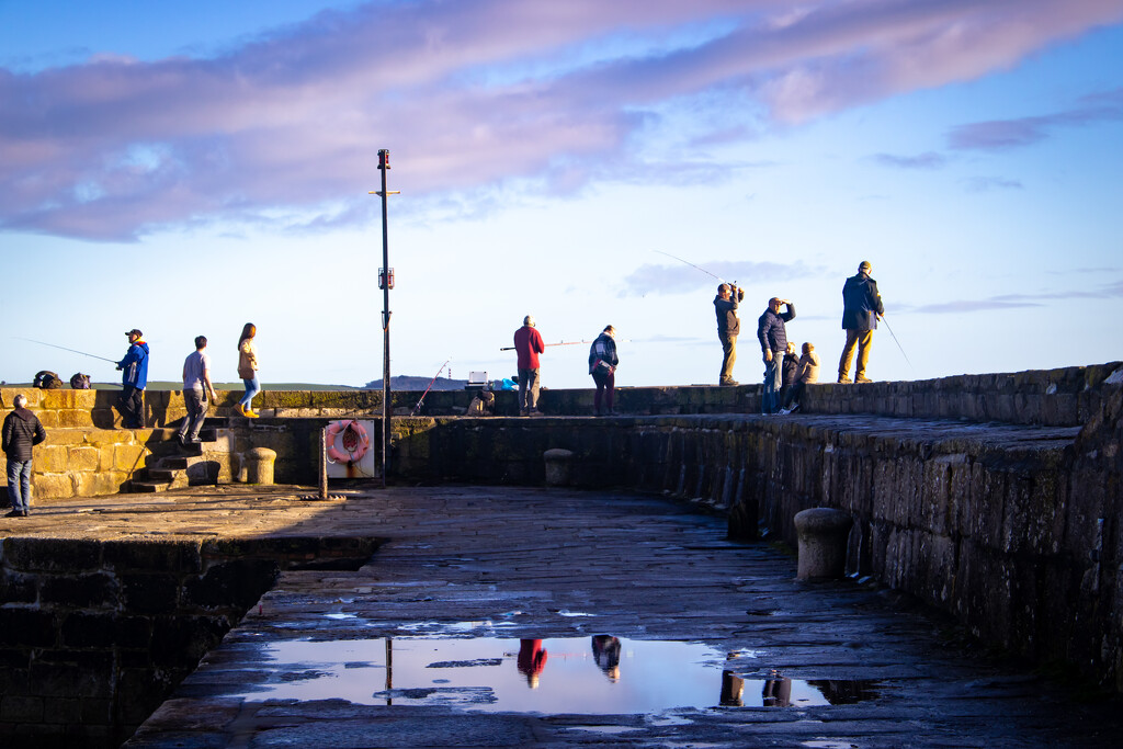 Harbour wall Puddles 1 by swillinbillyflynn