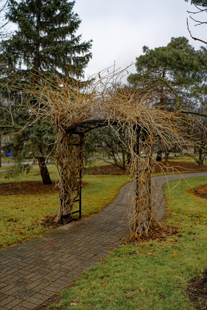 gate of straw by rminer