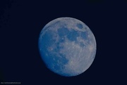 4th Jan 2023 - Nearly full moon