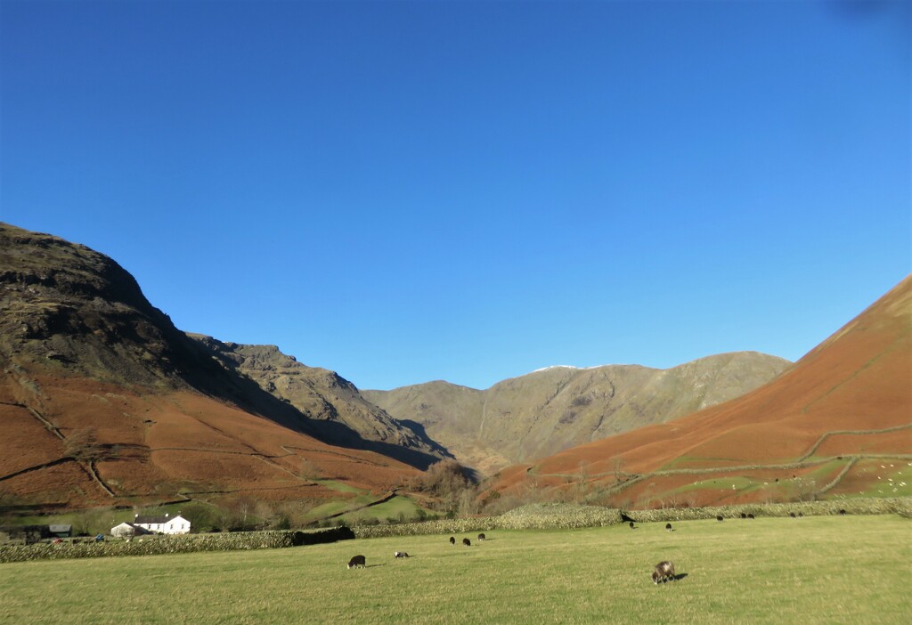 Wasdale Valley by countrylassie