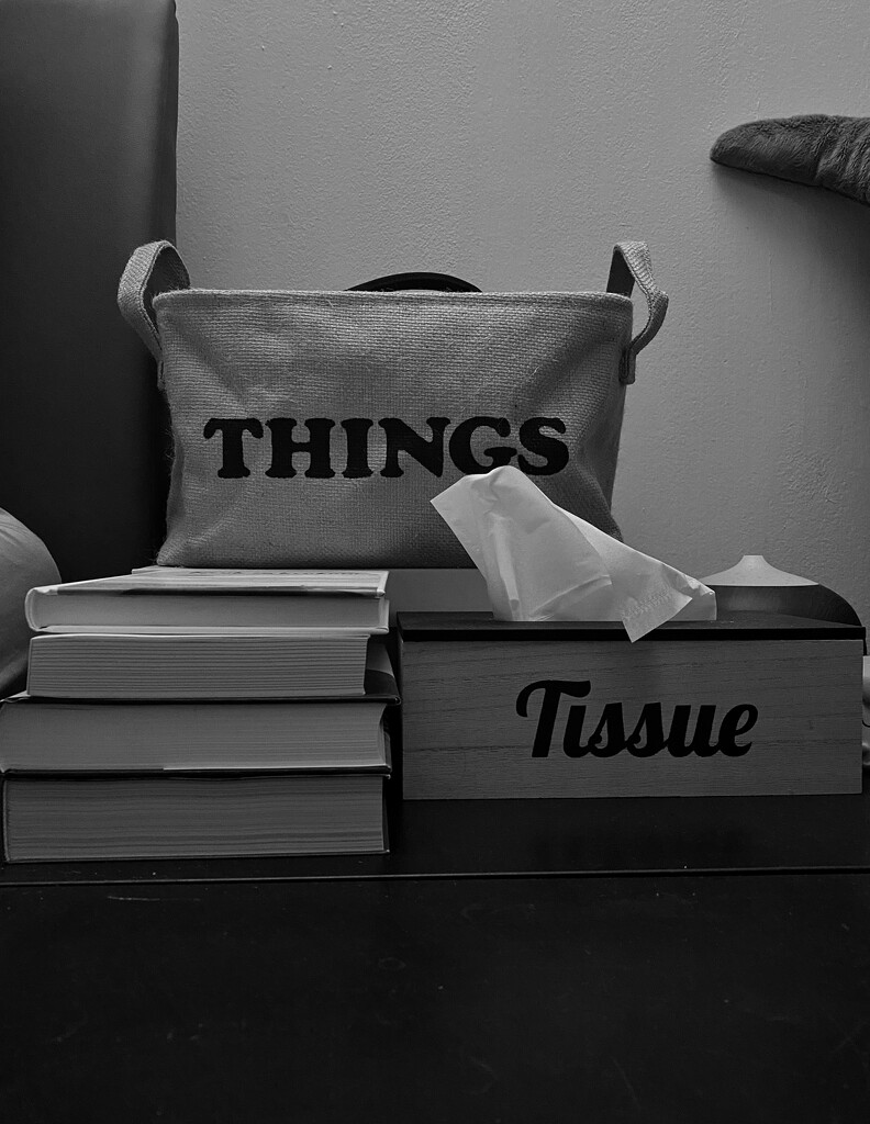 Just Things, Tissues & Books by wewe