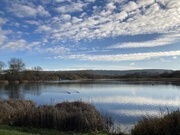 2nd Jan 2023 - Morning Walk Around The Reservoir 