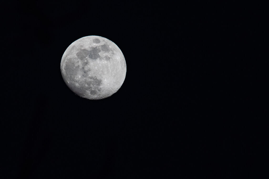 Tonight's Moon by mistyhammond