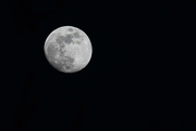 4th Jan 2023 - Tonight's Moon