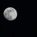 Tonight's Moon by mistyhammond