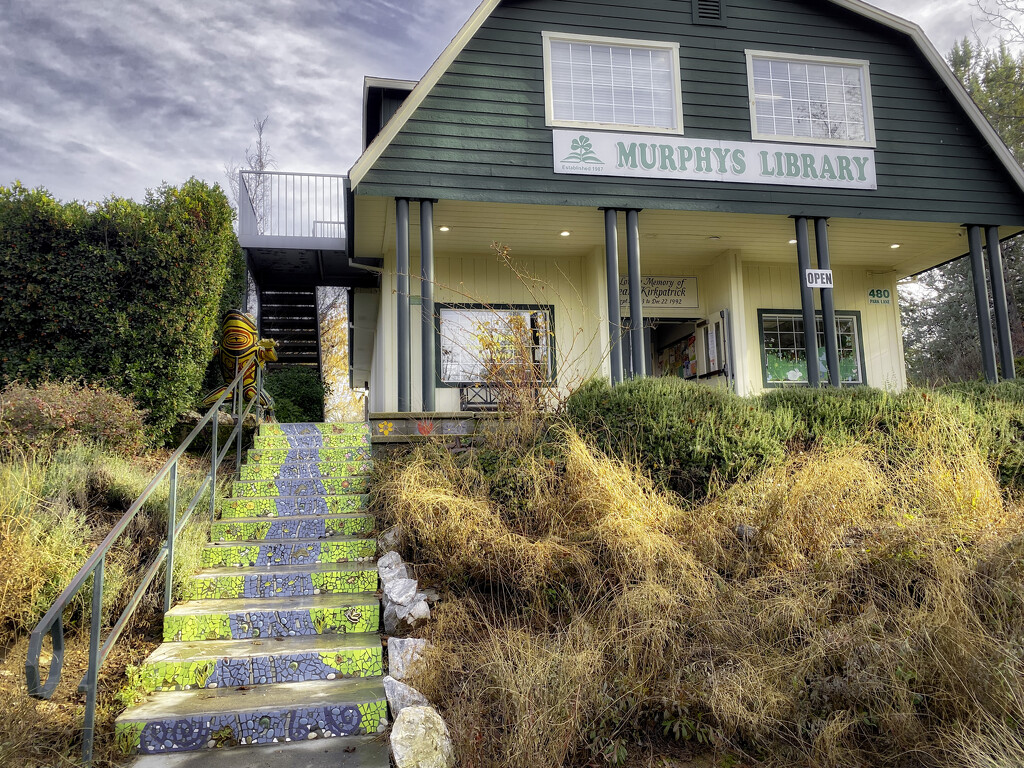 Murphy's Library by joysfocus