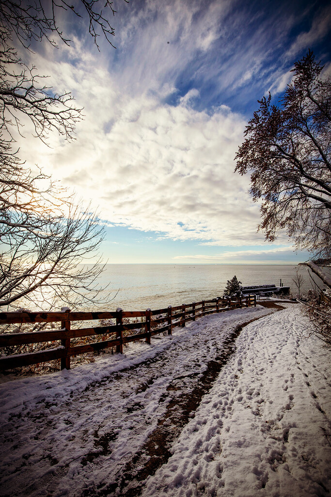 Winter Walk by pdulis