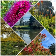 4th Jan 2023 - Photos from the Botanica Garden