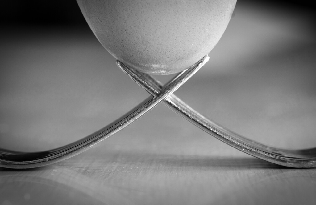 Fork n Egg by dkbarnett
