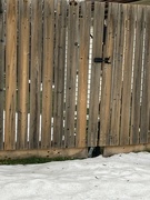 4th Jan 2023 - Stripey Fence 