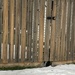 Stripey Fence  by spanishliz