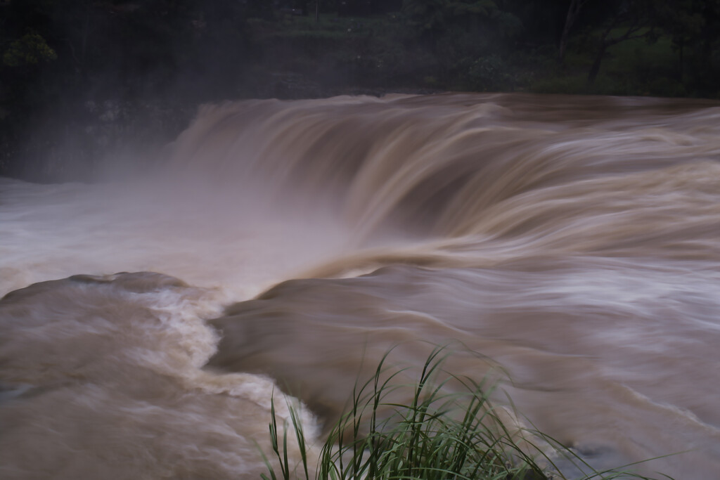 Haruru Falls by dkbarnett