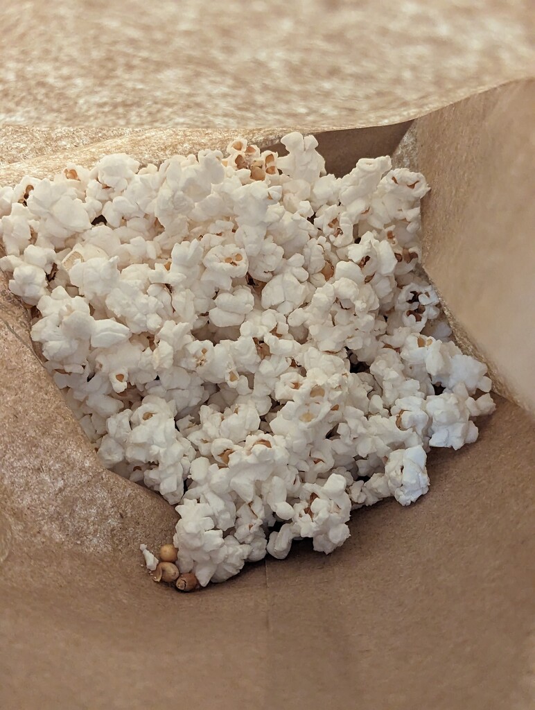 Naked Popcorn! by pomonavalero