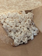 4th Jan 2023 - Naked Popcorn!