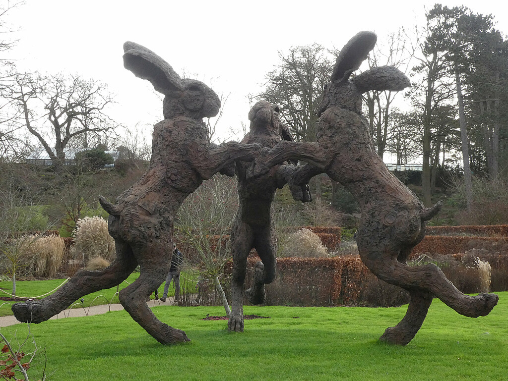 Dancing Hares by 30pics4jackiesdiamond