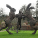 Dancing Hares by 30pics4jackiesdiamond