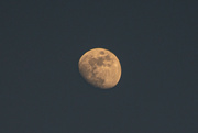 3rd Jan 2023 - Moon shot...