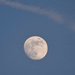 Early Evening Moon by bjywamer