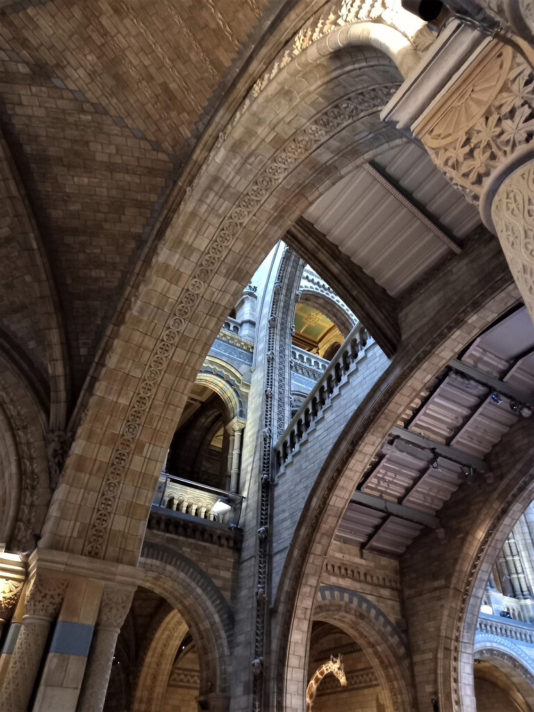Spot the giraffe. The wonderful arches of the Natural History Museum by 365jgh